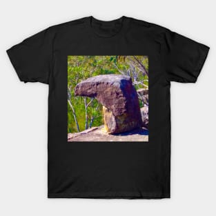 The Head of an Eagle! T-Shirt